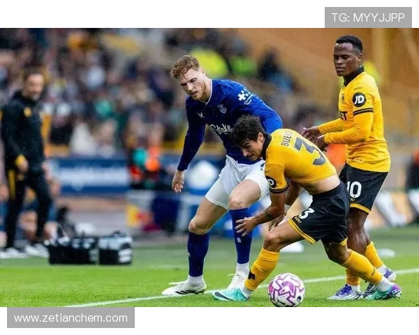 埃弗顿俱乐部迎关键转折新援助力球队重塑英超竞争力 埃弗顿俱乐部迎关键转折新援助力球队重塑英超竞争力