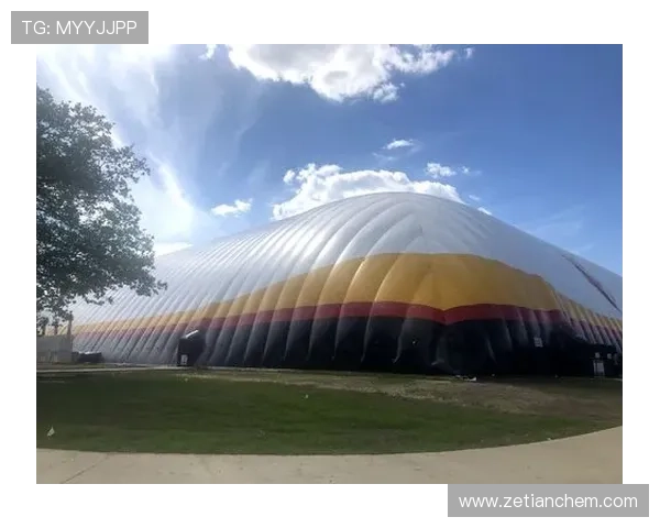 围绕沃特福德俱乐部的崛起历史与未来战略布局及发展深度全景解析 围绕沃特福德俱乐部的崛起历史与未来战略布局及发展深度全景解析