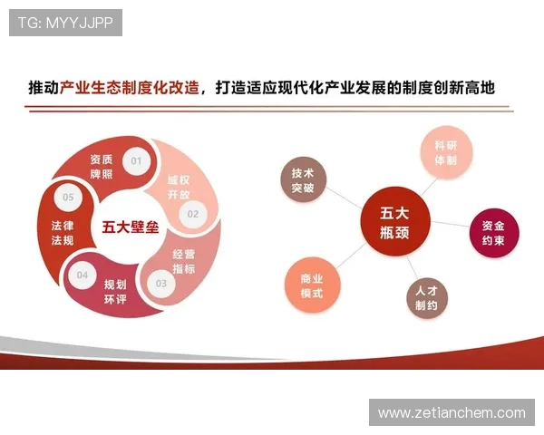 马略卡俱乐部的历史传承与现代发展路径探索